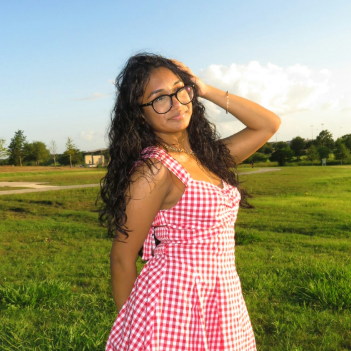 Dhriti Saani